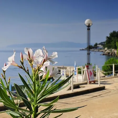 Apartment In With Sea View, Terrace, Air Conditioning, Wifi